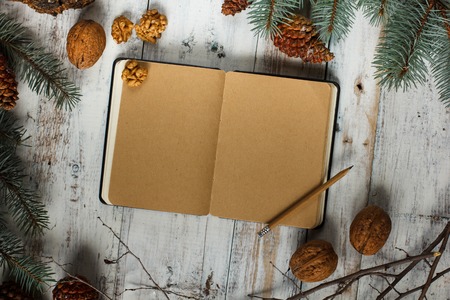 Top image of open book with vintage blank pages and Christmas decorations on a wooden table. New concept. Nuts and christmas treesの写真素材
