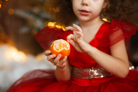 Lovely girls with curly hair in red dresses with tangerines in hand, sitting on bed in christmas decorated room with fir tree, studio shot. Twine cute sistersの写真素材