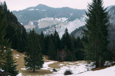 Winter landscape: Hasmas Mountains ,Romania