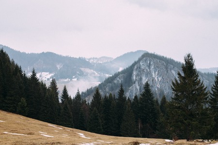 mountain lake, Hasmas Mountains, Eastern Carpathians, Romaniaの写真素材