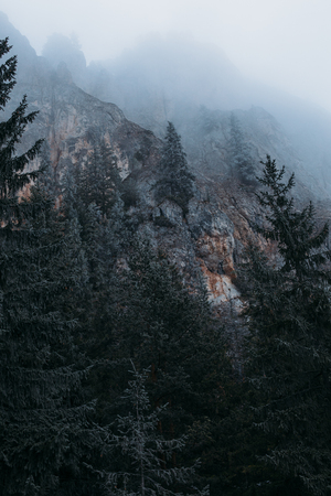 Romania Hasmas Mountains, Eastern Carpathians winter timeの写真素材