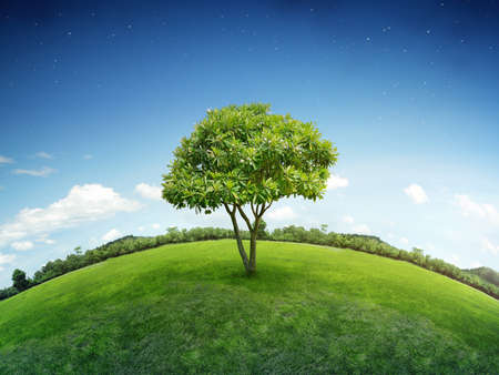 Small planet earth in environmental conservation or eco friendly concept. Alone single tree on green grass lawn garden with forest and starry blue sky background.の写真素材