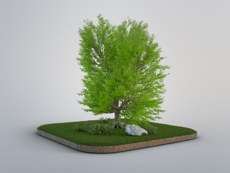 3D rendering of small earth land in environmental conservation or eco friendly concept. Big tree on green grass lawn garden with plant and empty white background.の写真素材