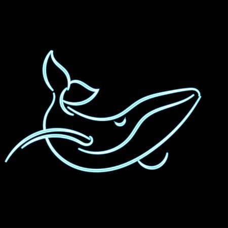 Whale under the water. Vector illustration. Neon line.の写真素材