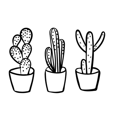 Three cactus in colored pots on a pink background. Black and white illustration.の写真素材