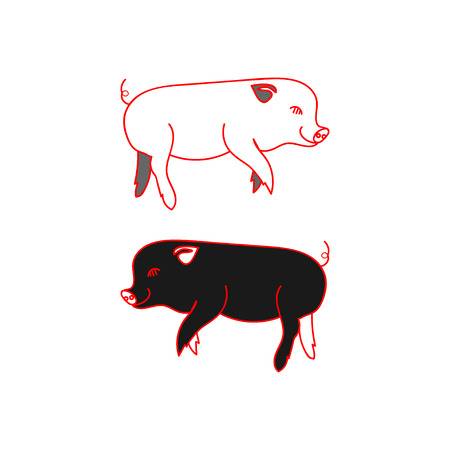 Black and white smiling pigs on a white background.の写真素材