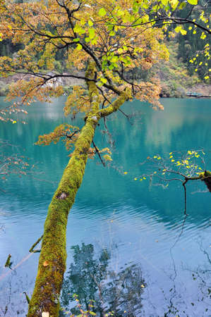 Jiu Zhai Gou Lakeの写真素材