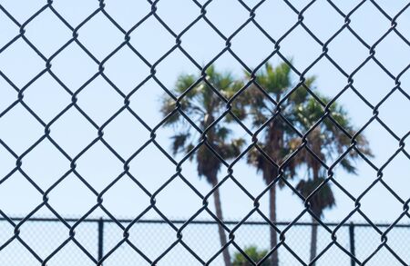 Chain link fence in prison, gulag, labour camp, school or unwanted institution. Dreaming of freedom. Palm trees in background.の写真素材