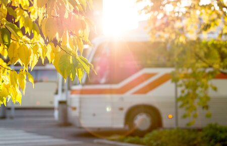 Bus at station framed by autumn colored leaves from trees. Sunny public transportation concept.の写真素材