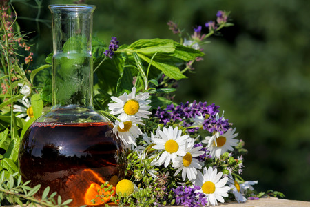 Homeopathy and cooking with medical plantsの写真素材