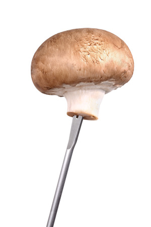 Mushroom on spitの写真素材