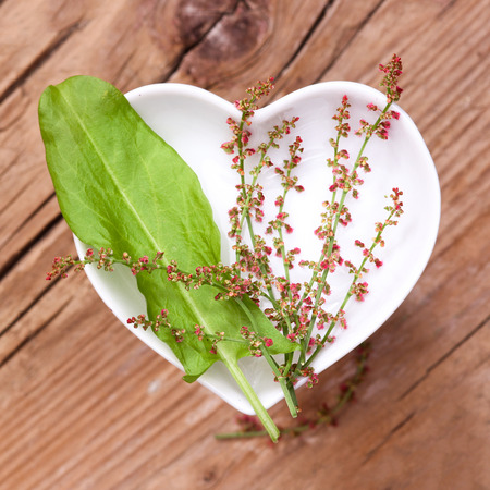 Homeopathy and cooking with sorrel