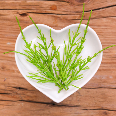 Homeopathy and cooking with horsetailの写真素材
