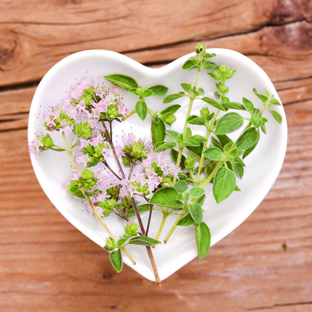 Homeopathy and cooking with majoramの写真素材