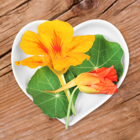 Homeopathy and cooking with nasturtiumの写真素材