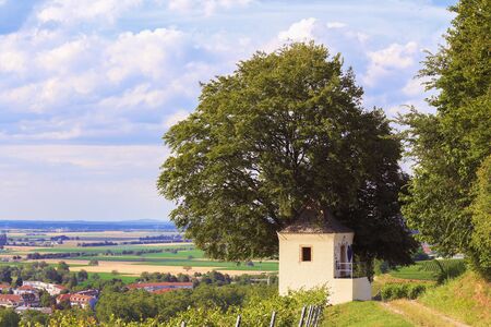 Cottage in the vineyard in MÃ¼llheimの写真素材