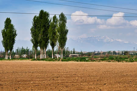 Swirls landscape in Uzbekistan. Plowed field on the background of the village and the mountainsの写真素材
