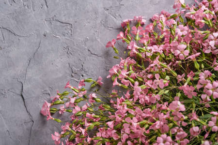 Painted easter eggs with pink wildflowers on gray concrete background close-upの写真素材