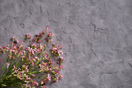 Painted easter eggs with pink wildflowers on gray concrete background close-upの写真素材