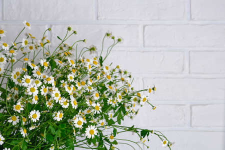 Bouquet with daisies on a white brick wall background close-up