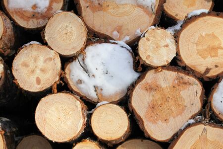 Logs