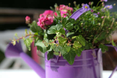 Flowersの写真素材