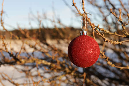 Christmas ballの写真素材
