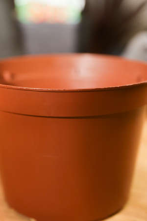 Plastic flower potの写真素材