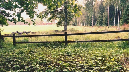 Lush fieldの素材