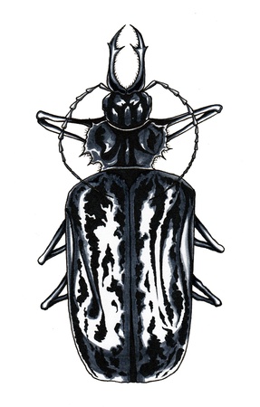 Woodcutterの写真素材