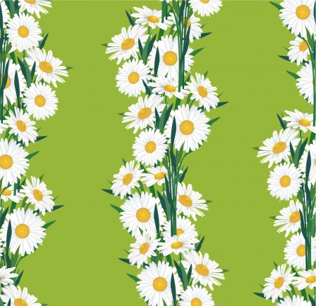 Flower chamomile seamless  background のイラスト素材