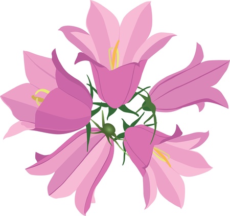 flower bouquet with pink bluebell のイラスト素材