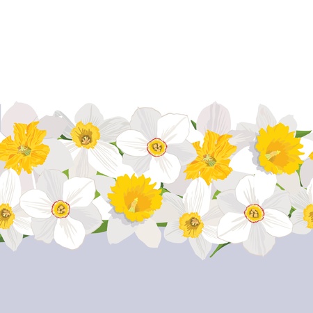 floral seamless background  Border with flowers daffodils のイラスト素材