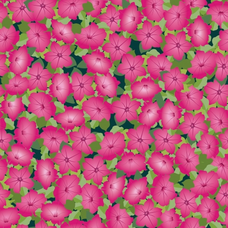 floral background  seamless pattern with flowers petunia のイラスト素材