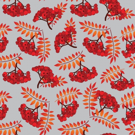 Rowan berry seamless texture  Autumn ashberry vector illustrationのイラスト素材