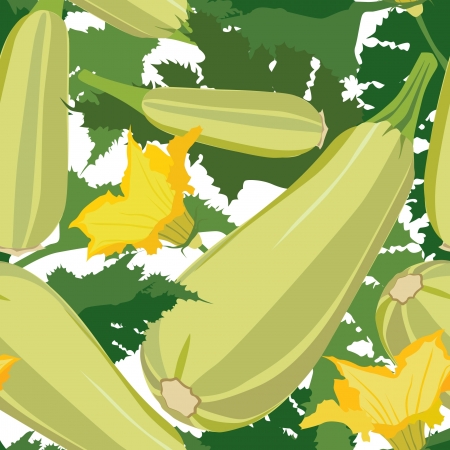 eamless pattern with vegetable marrow のイラスト素材