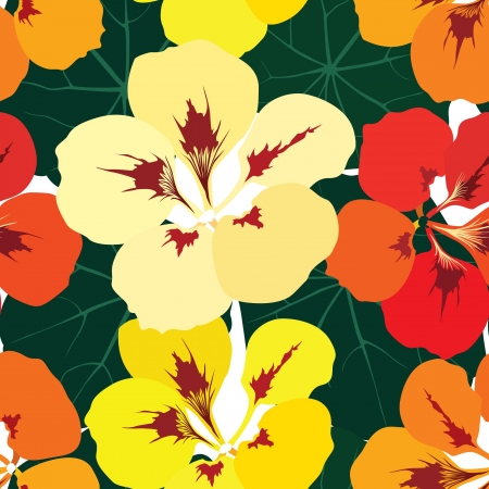 flower seamless pattern background with multicolor bouquet of flowers nasturtiumのイラスト素材