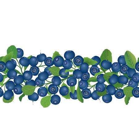 Blueberry seamless border  Berry garland  Ripe berries with leaves  Scandinavian pattern  Cowberries  illustration のイラスト素材