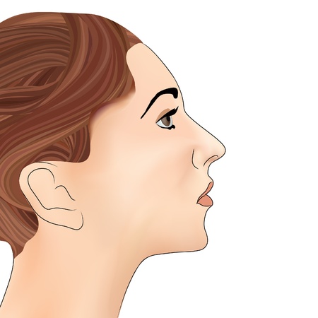Beauty portrait of young woman in profile with brown hair   のイラスト素材