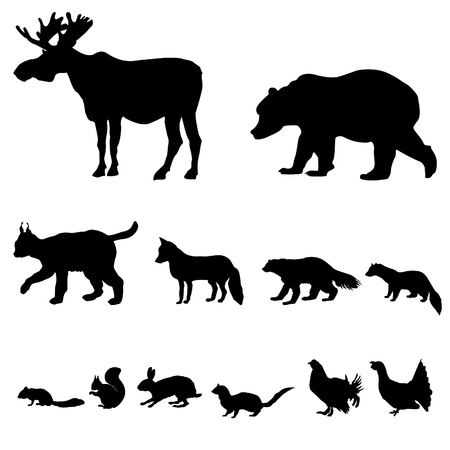 Animals living in taiga  Vector set of silhouette isolated on white background  のイラスト素材
