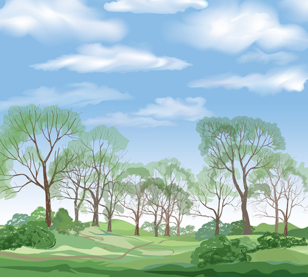 Landscape background. Summer trees. Green forest and blue sky with clouds.のイラスト素材