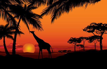 African landscape with animal silhouetteのイラスト素材