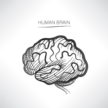 Human brain isolated. Internal organ icons sketchのイラスト素材