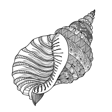 Seashell isolated on white background. HAnd drawn doodle vector illustration.のイラスト素材