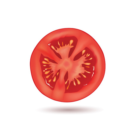 Tomato sliced. Vegetable logo. Vector illustration of naural product slice tomato.のイラスト素材