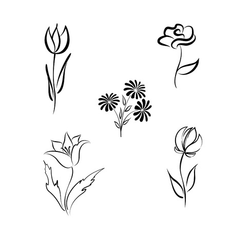 Flower set. Engraved hand drawing floral background design elements Different flowers isolated. Line fine artのイラスト素材