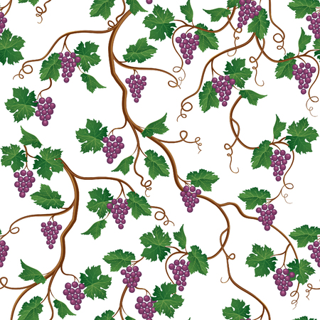 Floral pattern with grape branch. Wineyard seamless wallpaper. Garden backgrounのイラスト素材