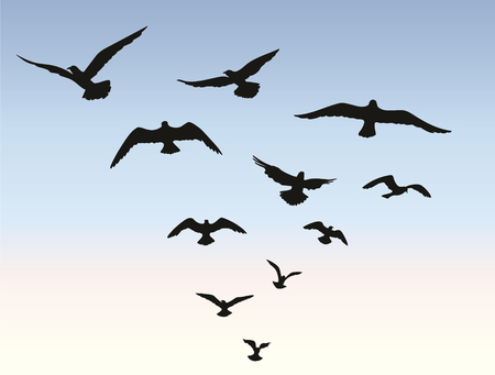 Bird flying silhouette over blue sky background. Animal wildlife skylineのイラスト素材