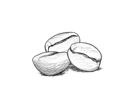 Coffee beans. Coffee icon set sketch. Line art doodle illustrationのイラスト素材