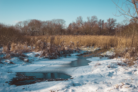 Scenic View of Melting Ice and Snow on Grassy Wetland on Sunny Winter Day with Clear Blue Sky and Bare Forest in Backgroundの写真素材